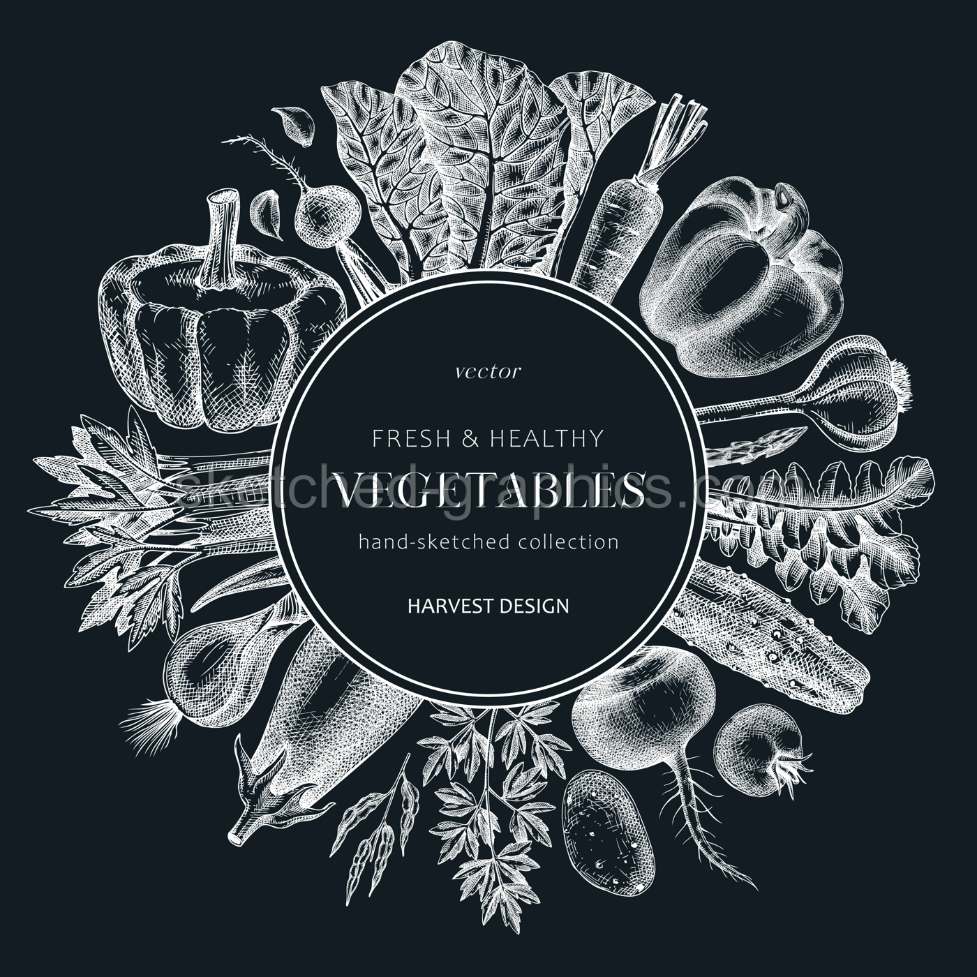 Hand-sketched Vegetable wreath on chalkboard. Hand-drawn tomatoes, squashes, peppers, potatoes, asparagus and other vegetables drawings. Healthy food background for menu, recipe, restaurant, packaging Illustration
